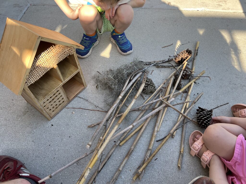 Items for bug hotel