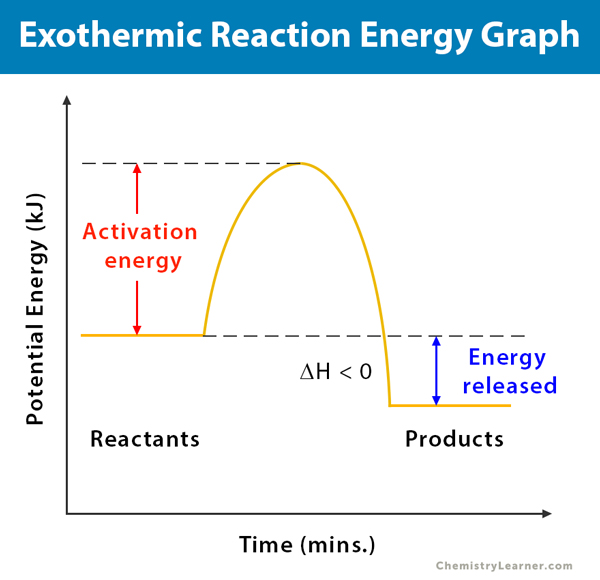 Labelled Diagram Of Exothermic Reaction