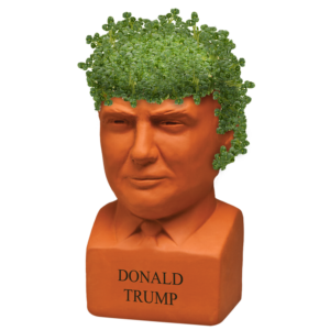 Donald Trump Chia Pet®