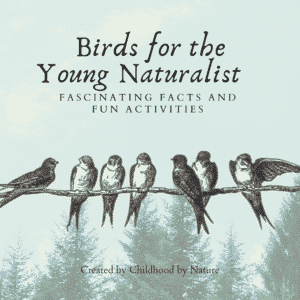 cover image for the book entitle Birds for the Young Naturalist