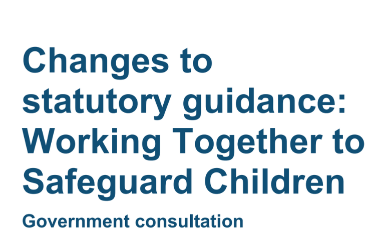 Working Together to Safeguard Children | Child Protection Company