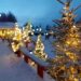 Christmas trees outdoors in the snow lit with string lights