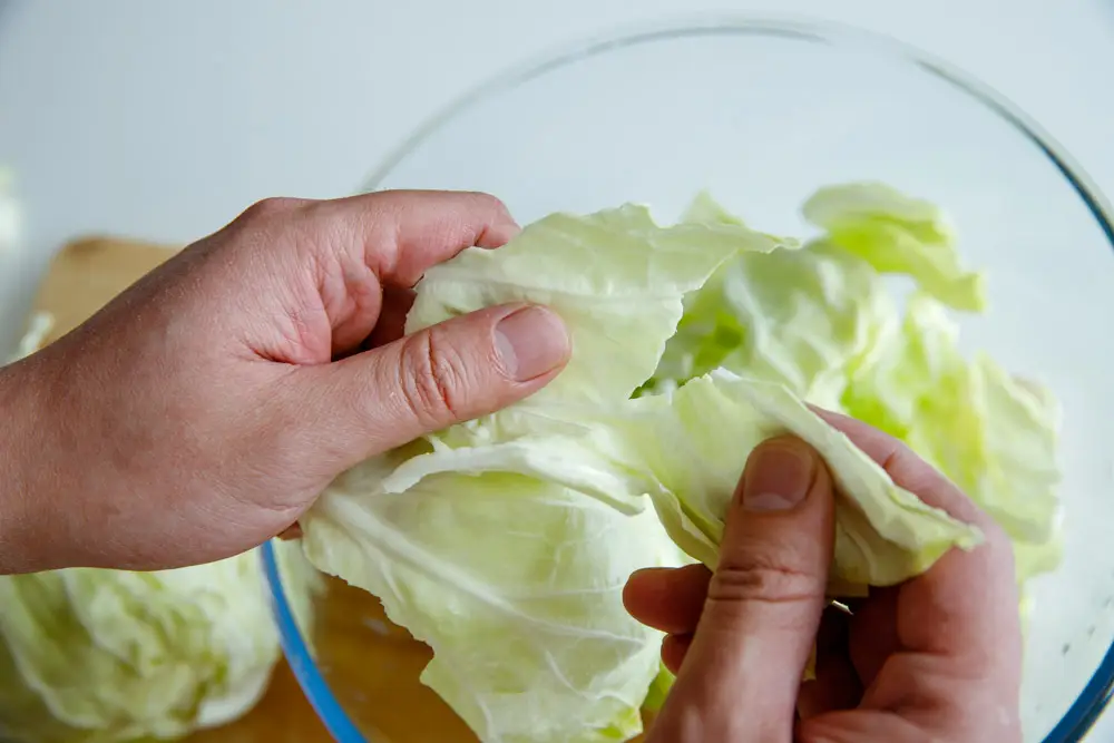 Chinese style cabbage stir fry|chinasichuanfood.com