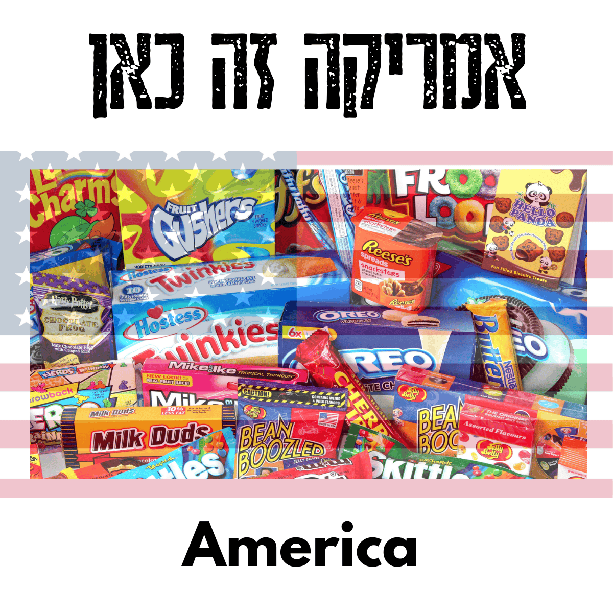 אמריקה (1)