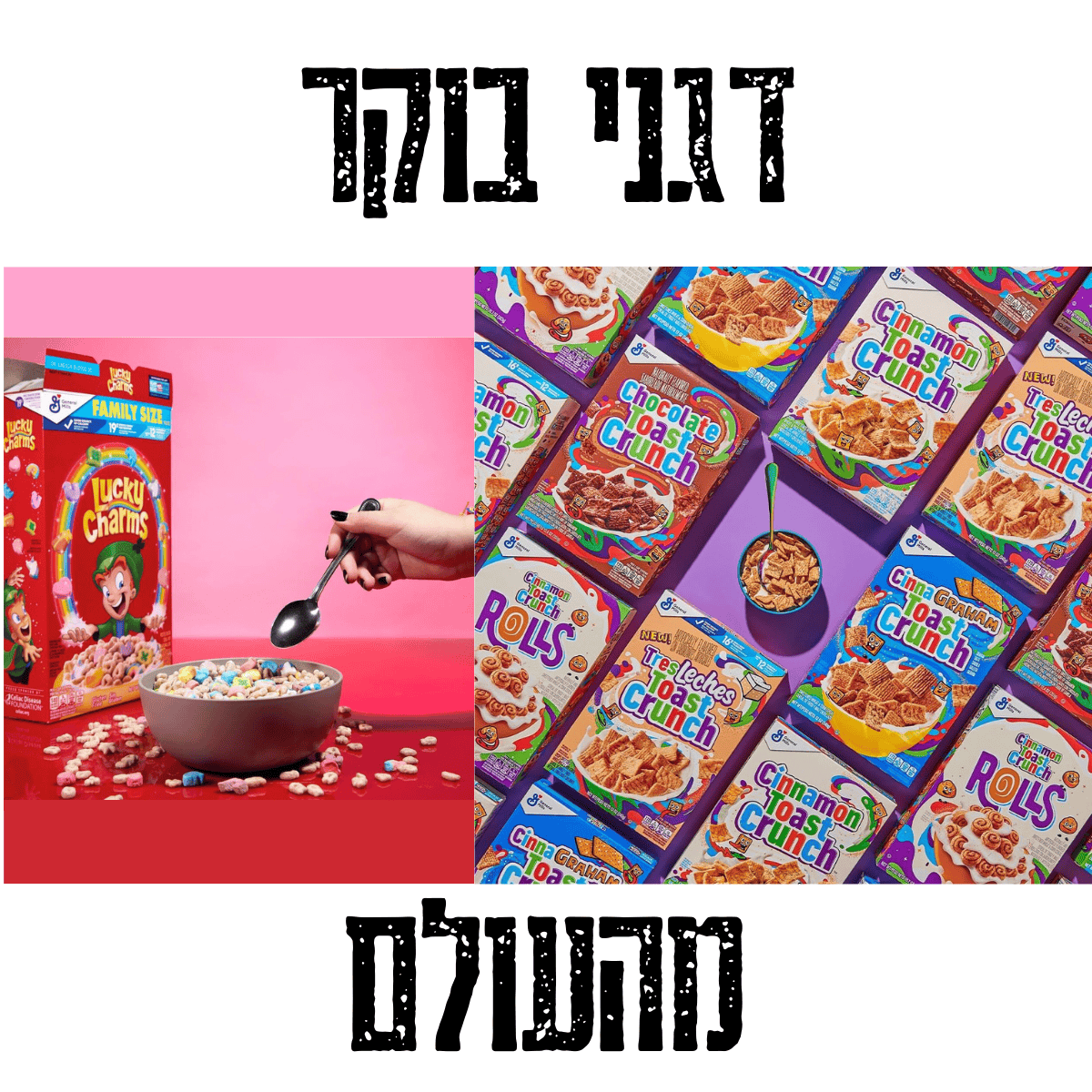 קורנפלקסים (6)