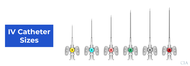 Different Iv Catheter Types | edu.svet.gob.gt