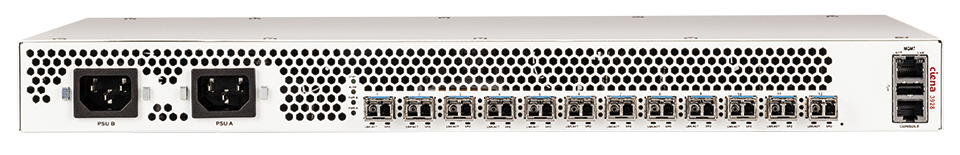 Ciena product 3928