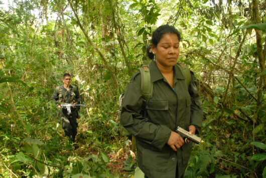 Guerilla des Farc, l'avenir a une histoire © Pierre Carles