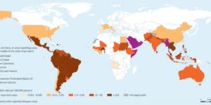 WHO Dengue Map