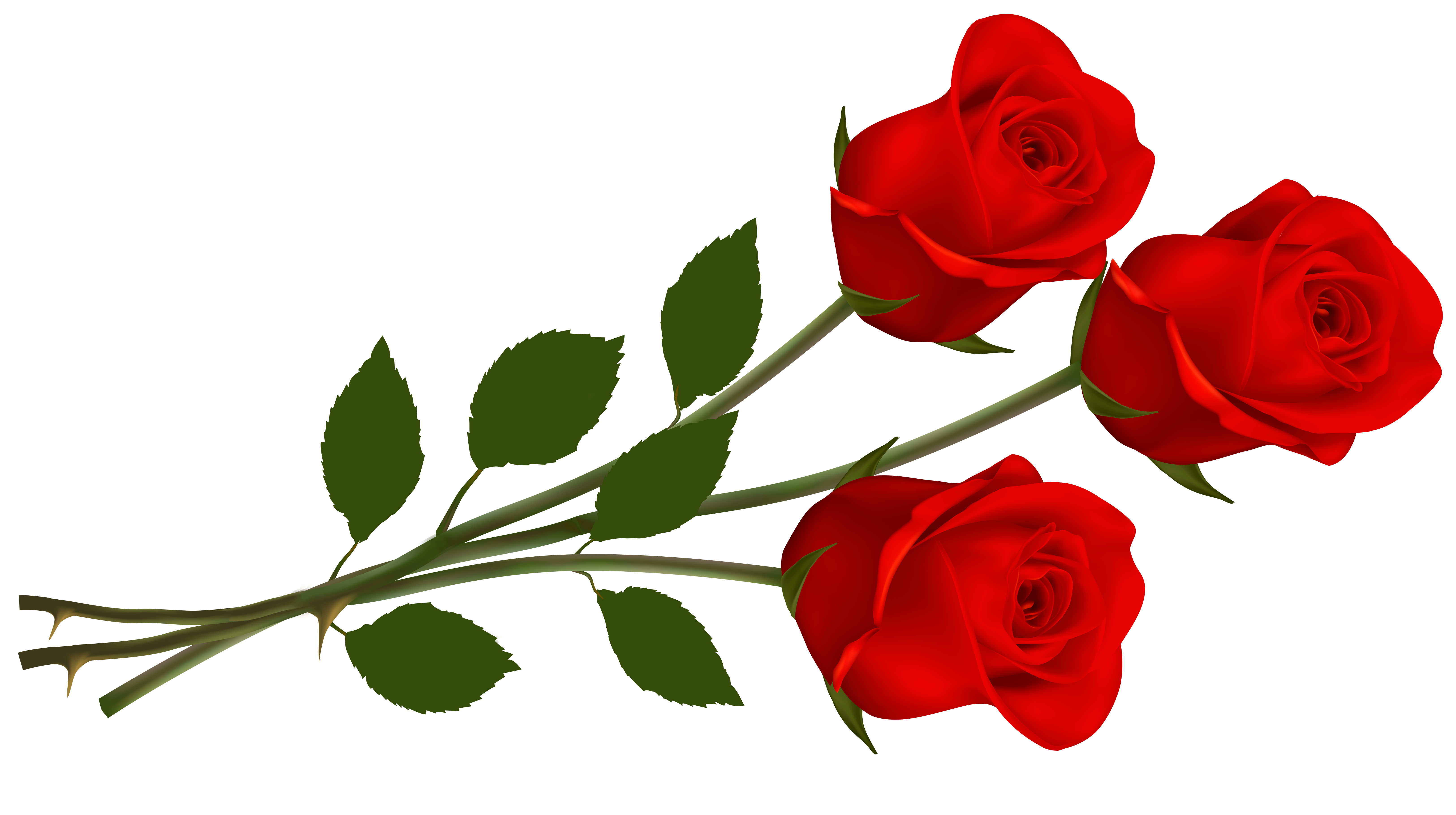 Red Roses Clipart Free at Mildred Pryor blog