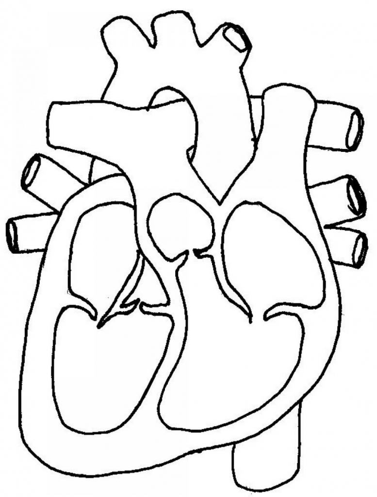 Black And White Heart Diagram Unlabeled - ClipArt Best