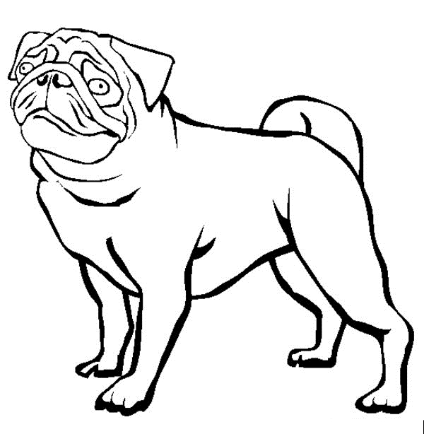 Pug Printables - ClipArt Best