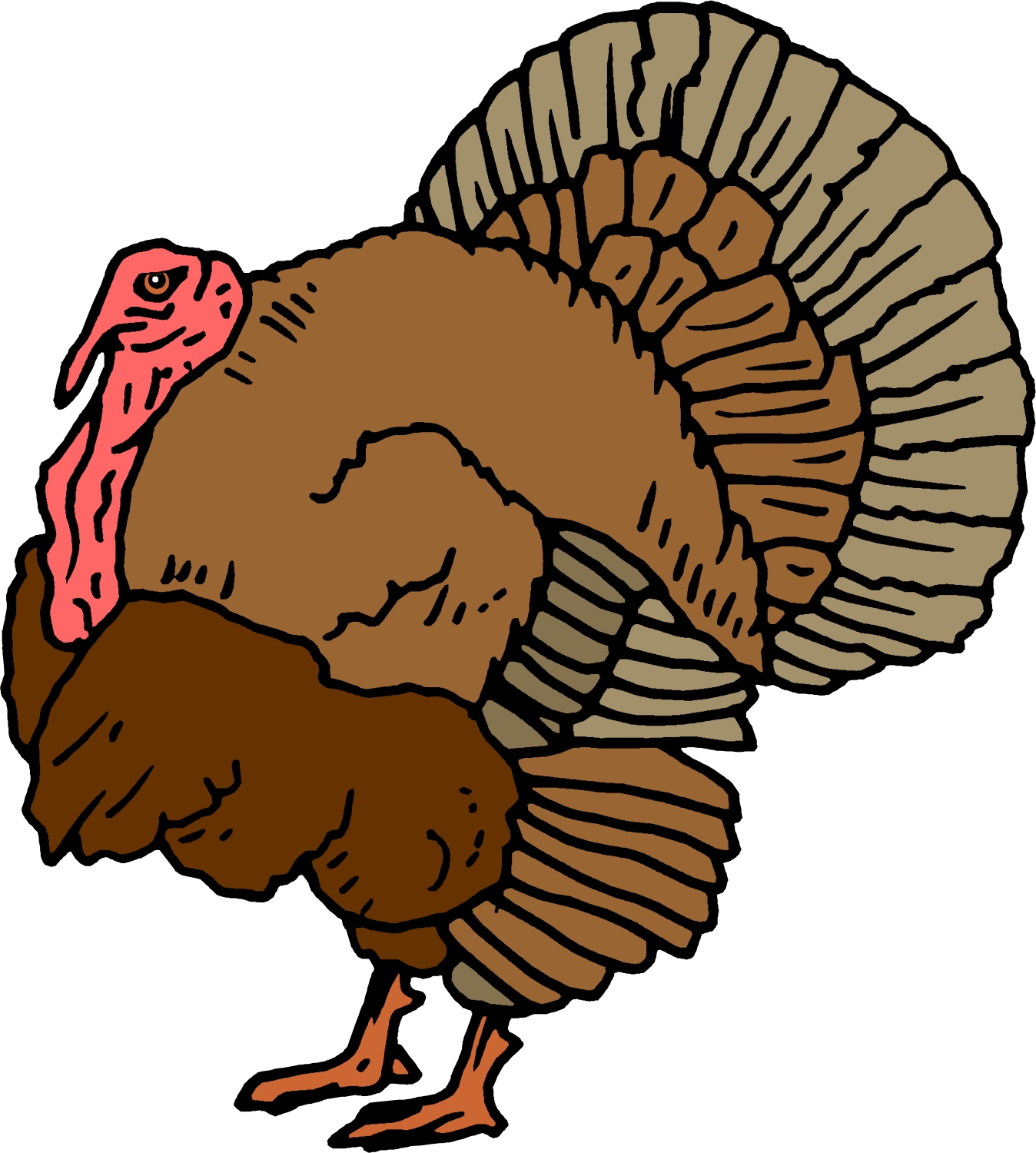 Wild Turkeys Clipart