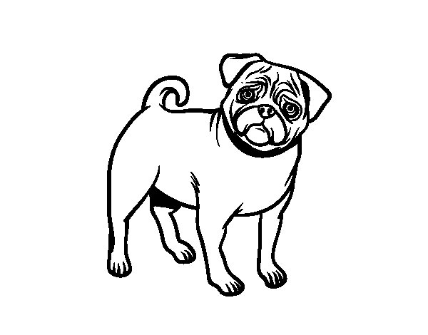 Pug Coloring Pages - ClipArt Best