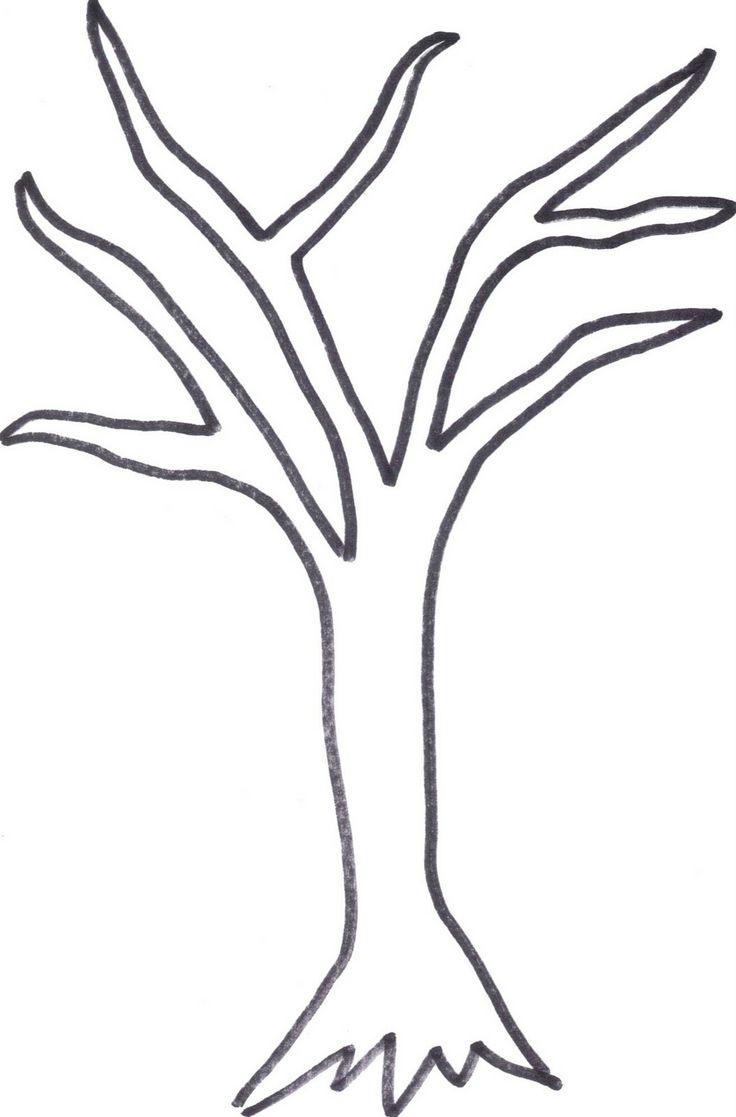 Tree Trunk Outline - ClipArt Best