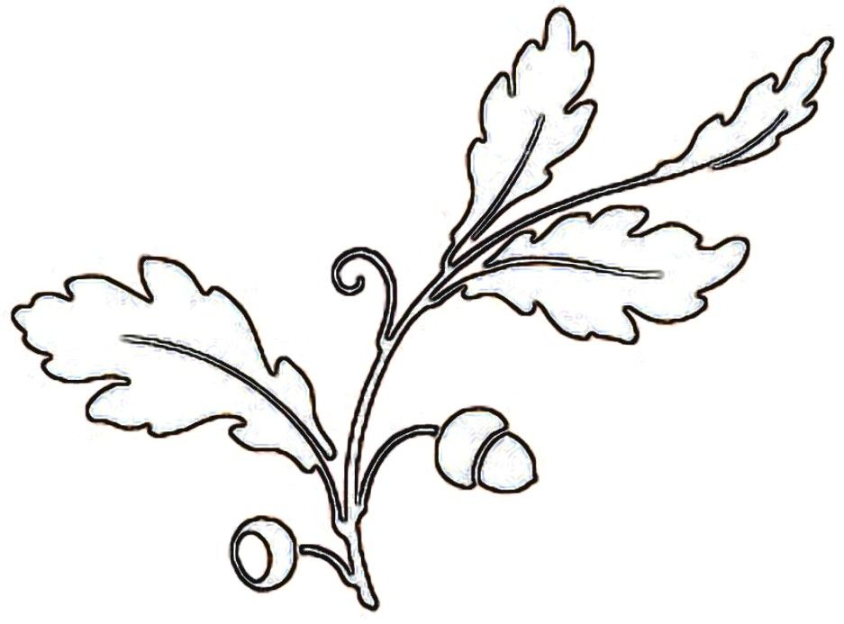 Oak Leaf Stencil - ClipArt Best