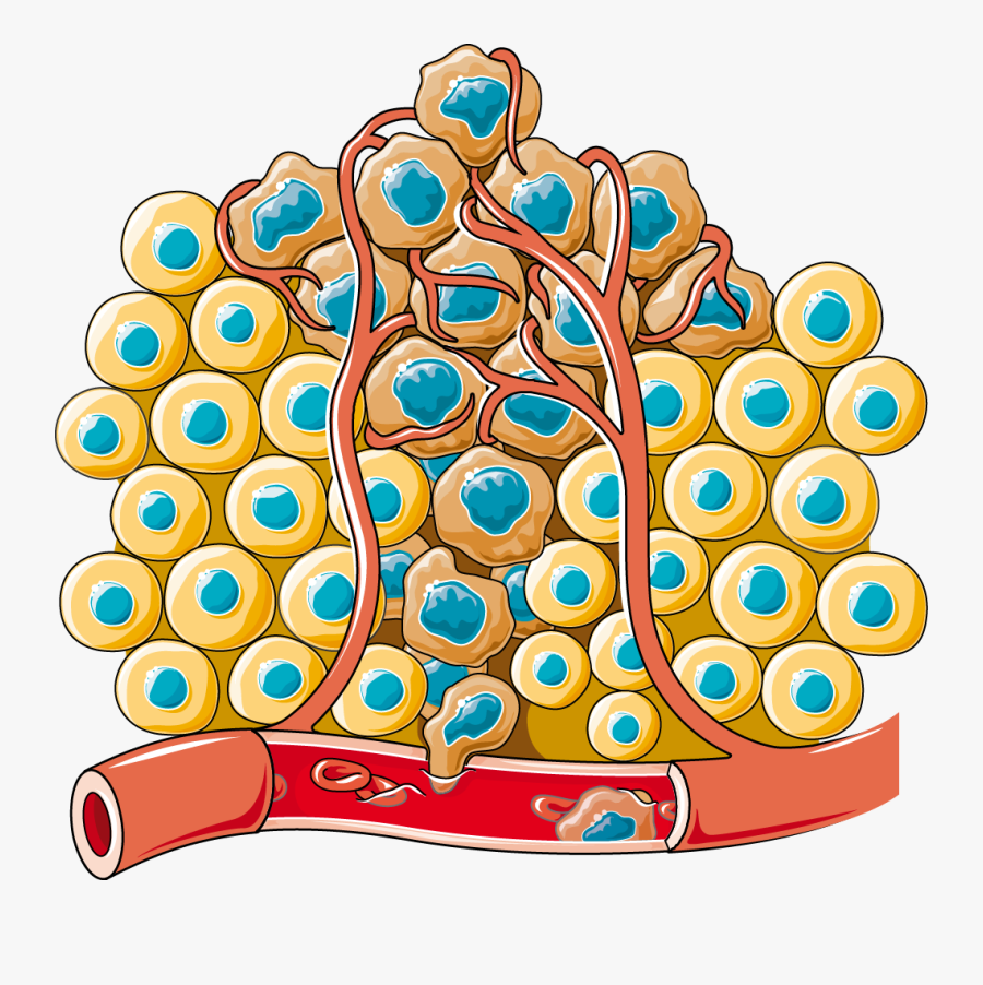 Cell Wall Clip Art