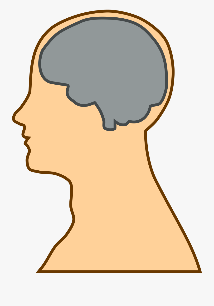 Transparent Human Brain Clipart - Process Of Kansei , Free Transparent ...