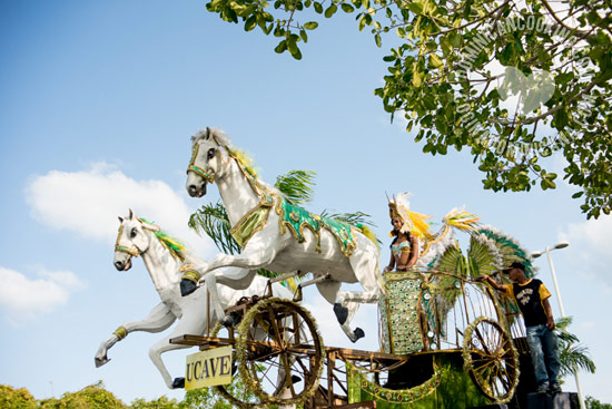 Carnaval Dominicano (en Puntacana) - Fotos y Video.