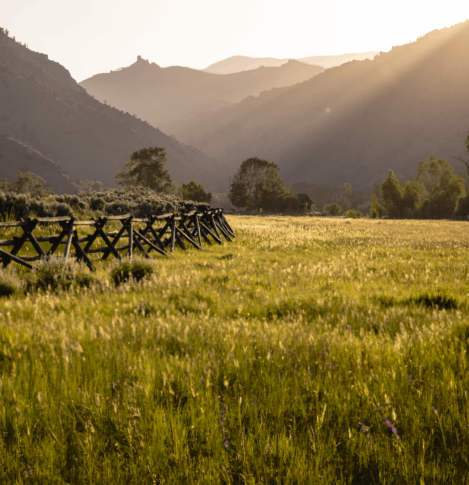 A field with an old fence and mountains in the background