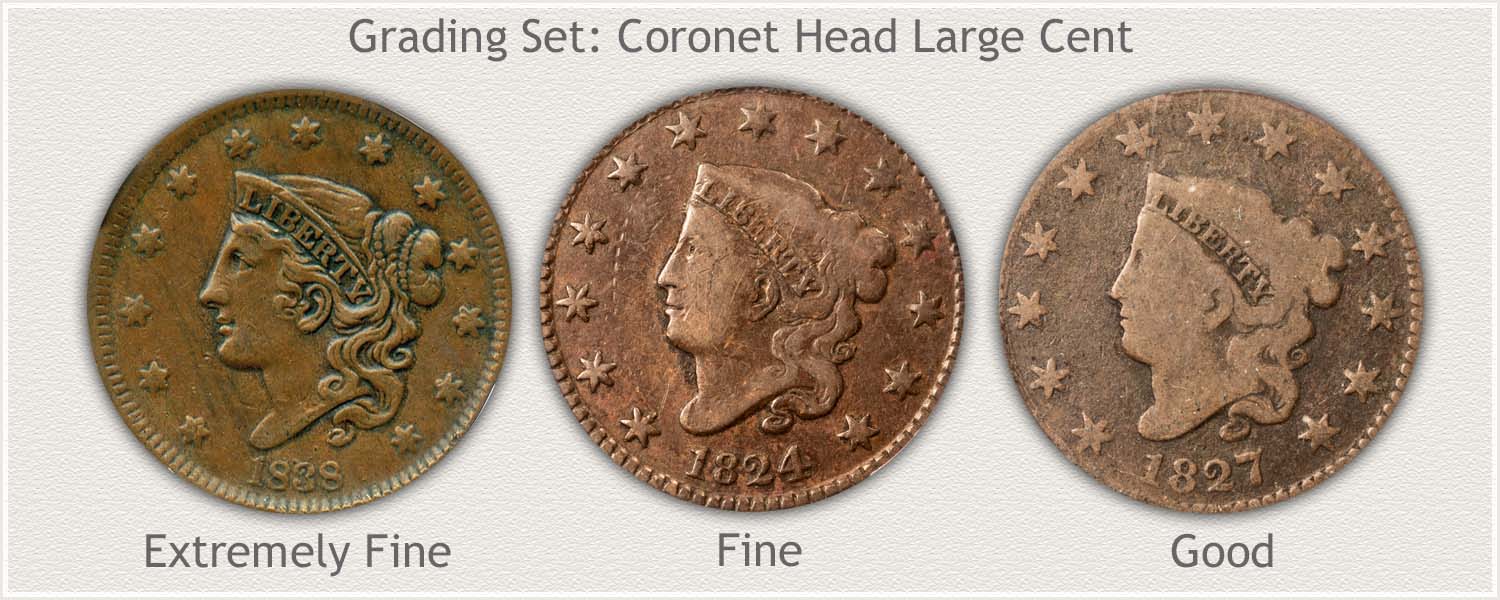 Grading Set of Coronet Head Large Cents