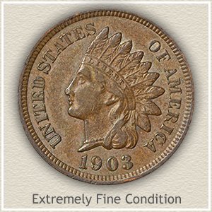 Indian Head Penny Extremely Fine Condition