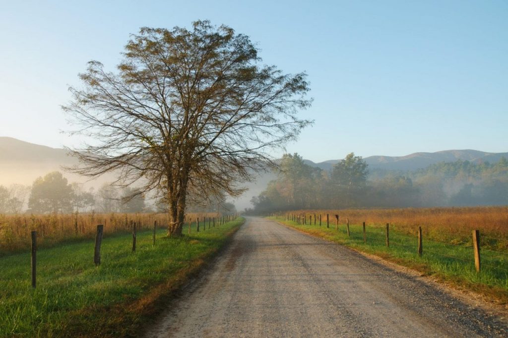 Cades Cove via Canva