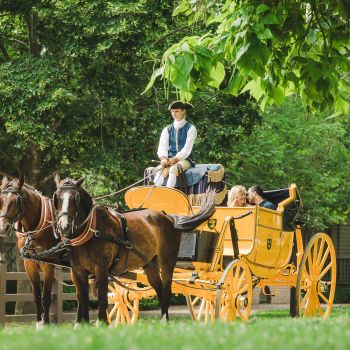 couple in carriage