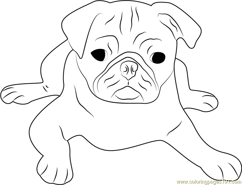 Pug Coloring Pages Outline Printable Drawing Cute Pugs Puppy Baby Angel ...