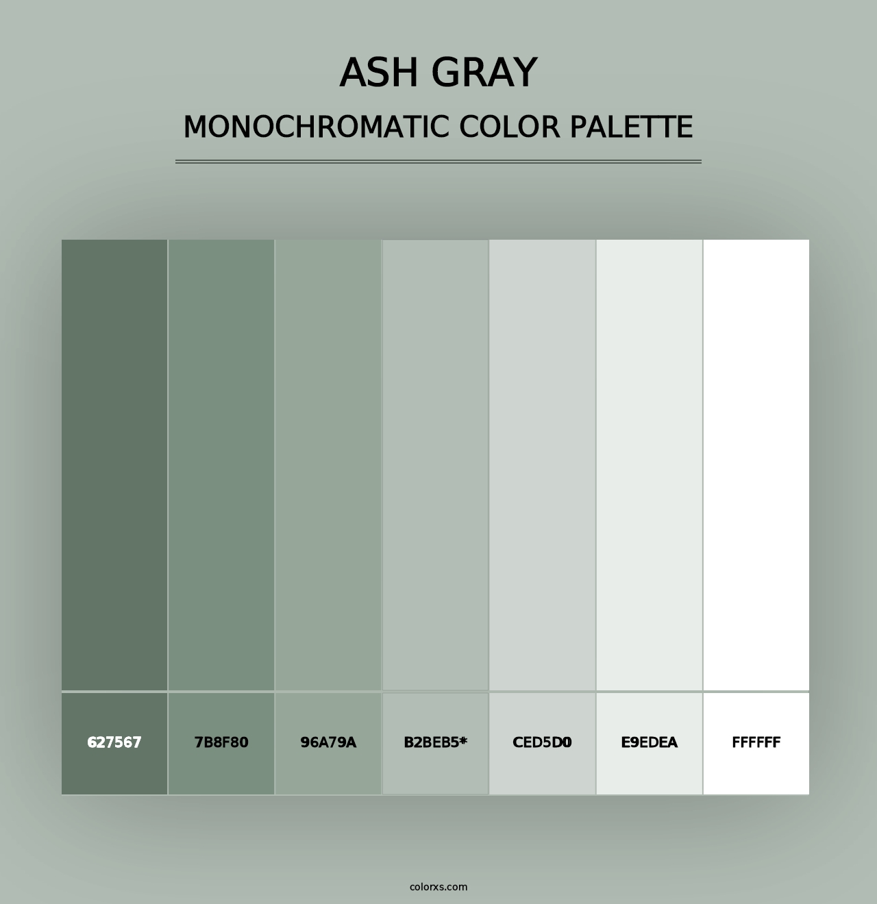 Ash Gray - Monochromatic Color Palette