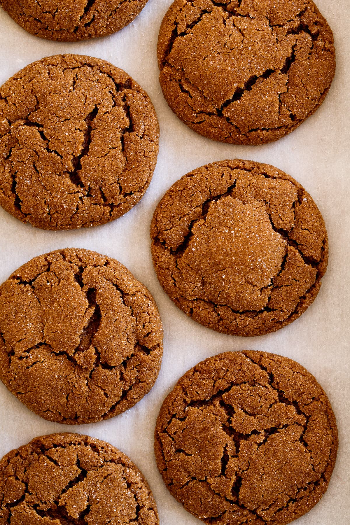 Overhead close up image of molasses cookies on parchment paper.