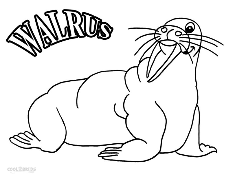 Baby Walrus Coloring Pages