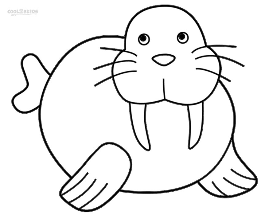 Gambar Printable Walrus Coloring Pages Kids Cool2bkids Cute Seal di ...