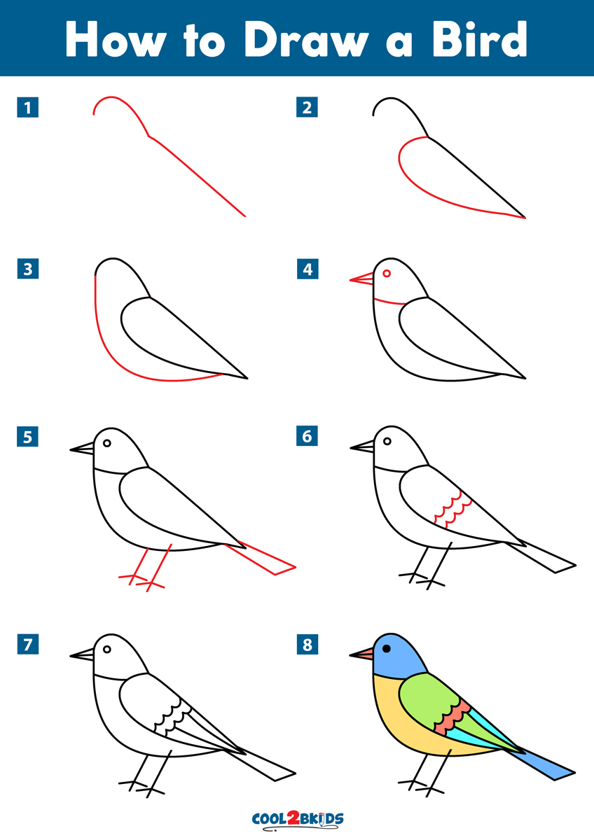 How To Draw A Bird Step By Step Side View