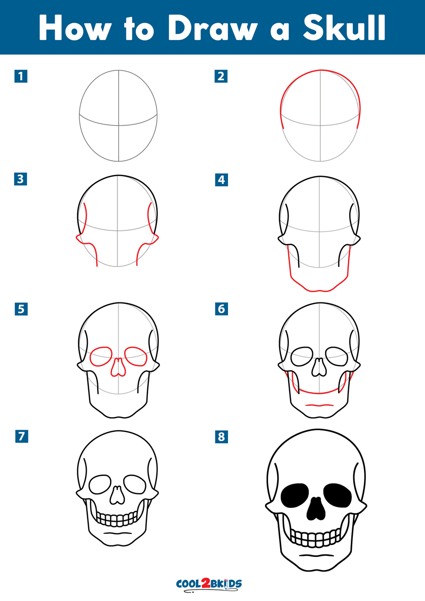 How To Draw A Human Skull Step By Step Drawing Tutorials Skulls ...