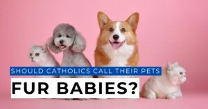 Should Catholics Call Their Pets Furbabies