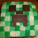 Coolest Minecraft Creeper Cake