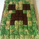 Homemade Minecraft Creeper Cake