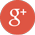 Google Plus Icon