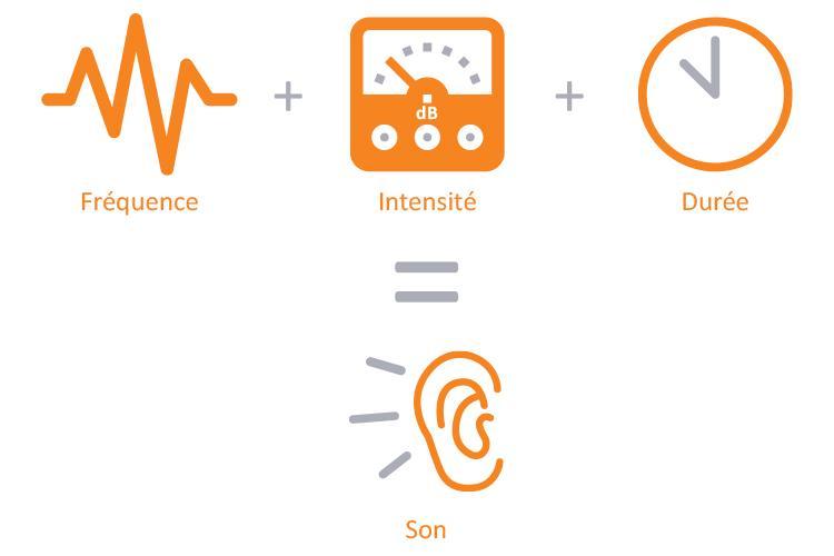 Un son est la combinaison de la fréquence, de l'intensité et de la durée