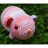 Crochet Pattern for the Guinea Pig Rainbow!