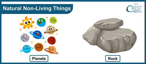 Living and Non-Living Things | Class 1 Science