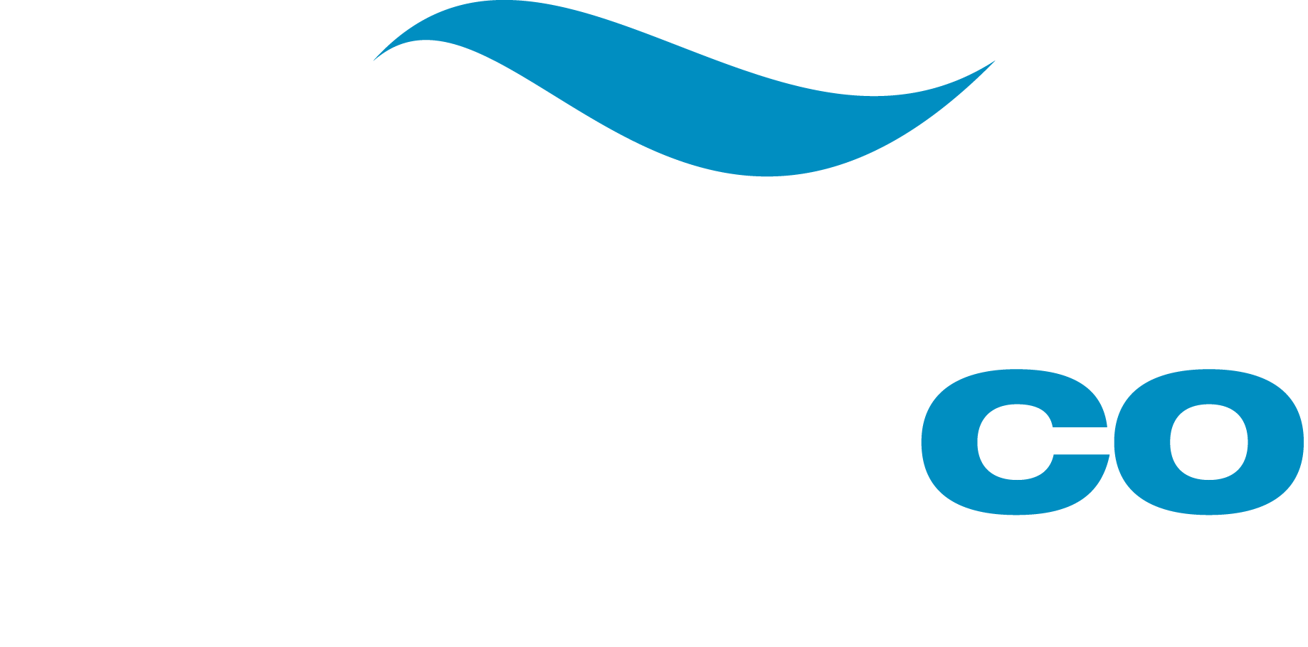 Cruiseco Logo