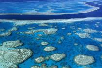 Great Barrier Reef advocates push for tighter greywater and effluent rules