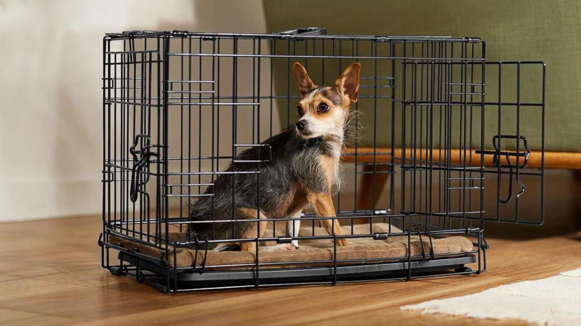 The Best Dog Crates for Crate Training Your Pup