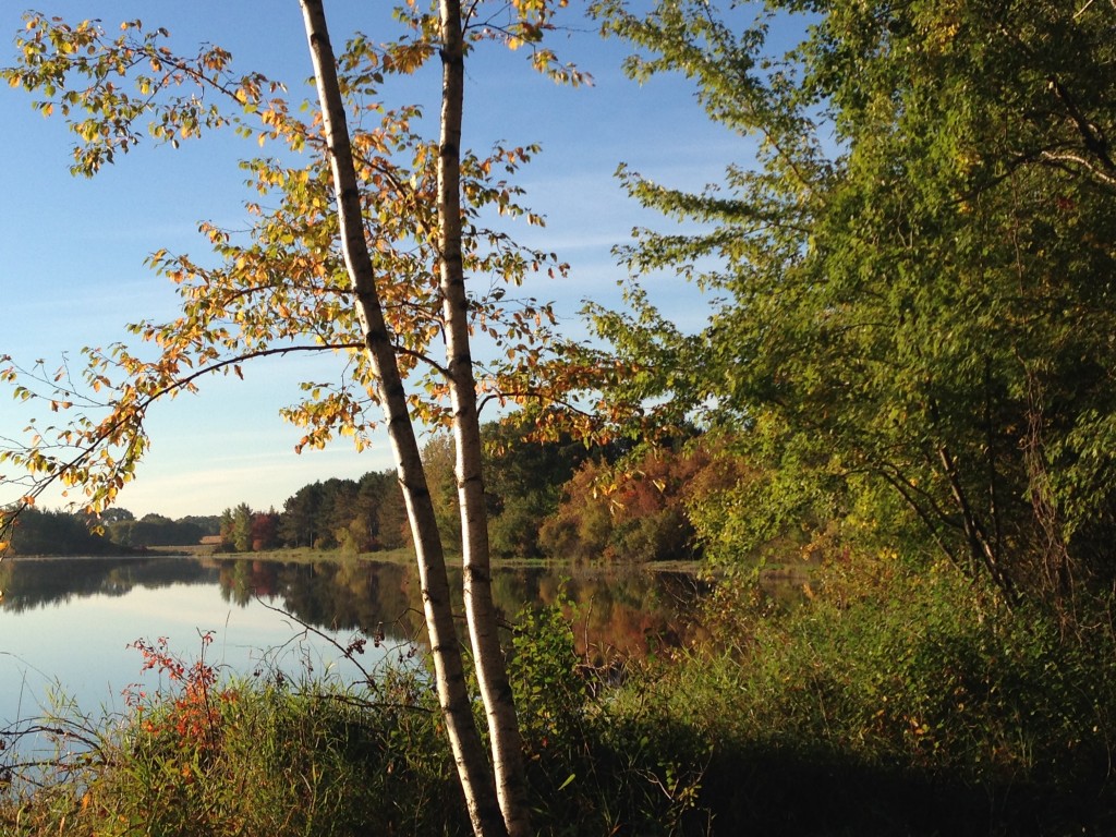 Our little lake