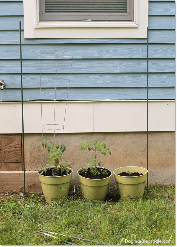 DIY Container Gardening, DagmarBleasdale.com