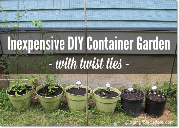 DIY container garden, DagmarBleasdale.com