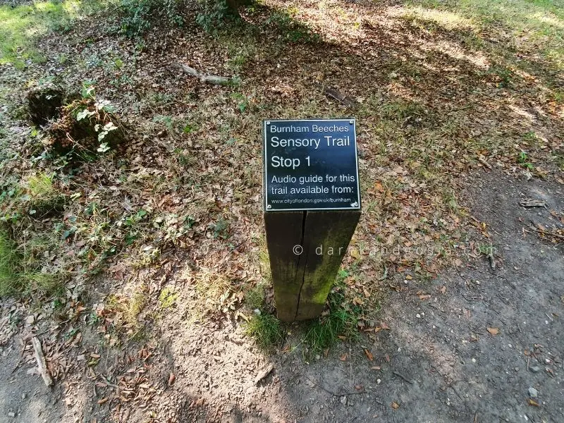 Burnham Beeches walks - Sensory trail