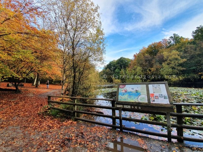 How long do you need at Burnham Beeches